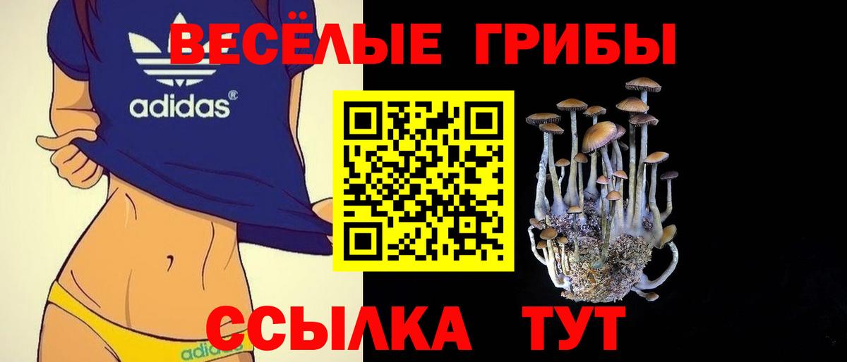 Псилоцибиновые грибы Psilocybe Усолье-Сибирское