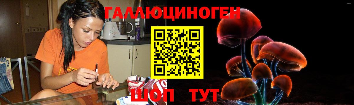 Псилоцибиновые грибы Psilocybine cubensis  Галлюциногенные грибы Magic Shrooms  Усолье-Сибирское  Вход с VPN 
